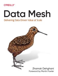 Data Mesh: Delivering Data-Driven Value at Scale 1st Edition 1 Data Mesh: Delivering Data-Driven Value at Scale 1st Edition